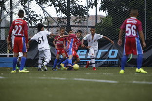 米兰体育网页版登录-中国足球青训成果展示会在多地举办，中国足球青训比赛